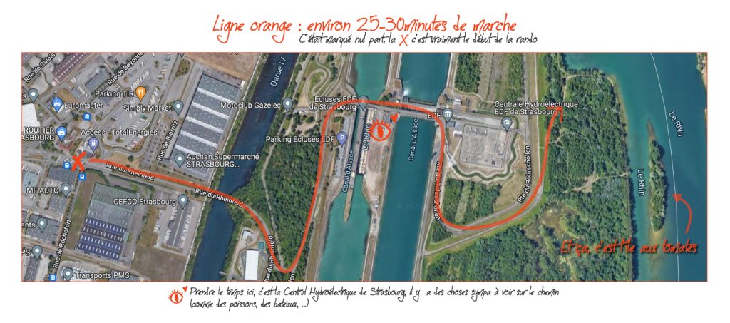 Mars 2022 Randonnées trajet réserve naturelle de strasbourg Île-du-Rohrschollen